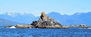 Rocky outcrop with Vancouver Island in background
