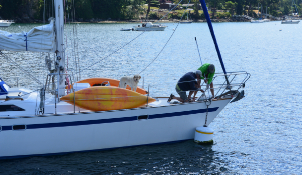 Sailboat dropping anchor.